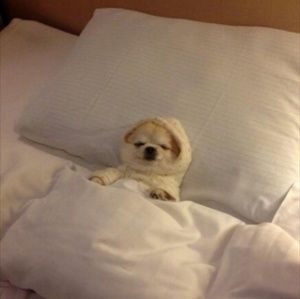 Meet your Posher, LÃ©a